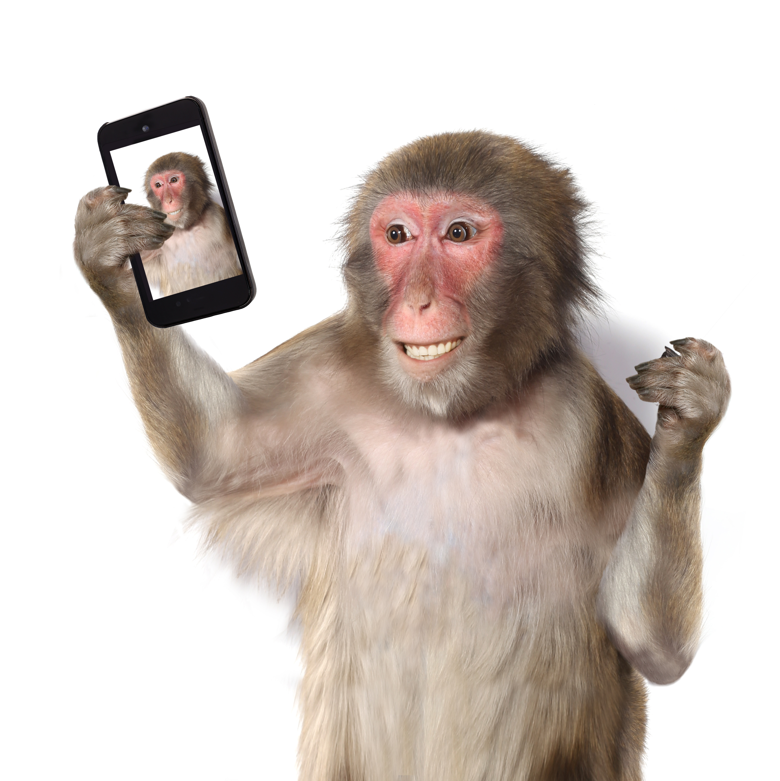 Appearance Releases Aren't Something to Monkey Around With